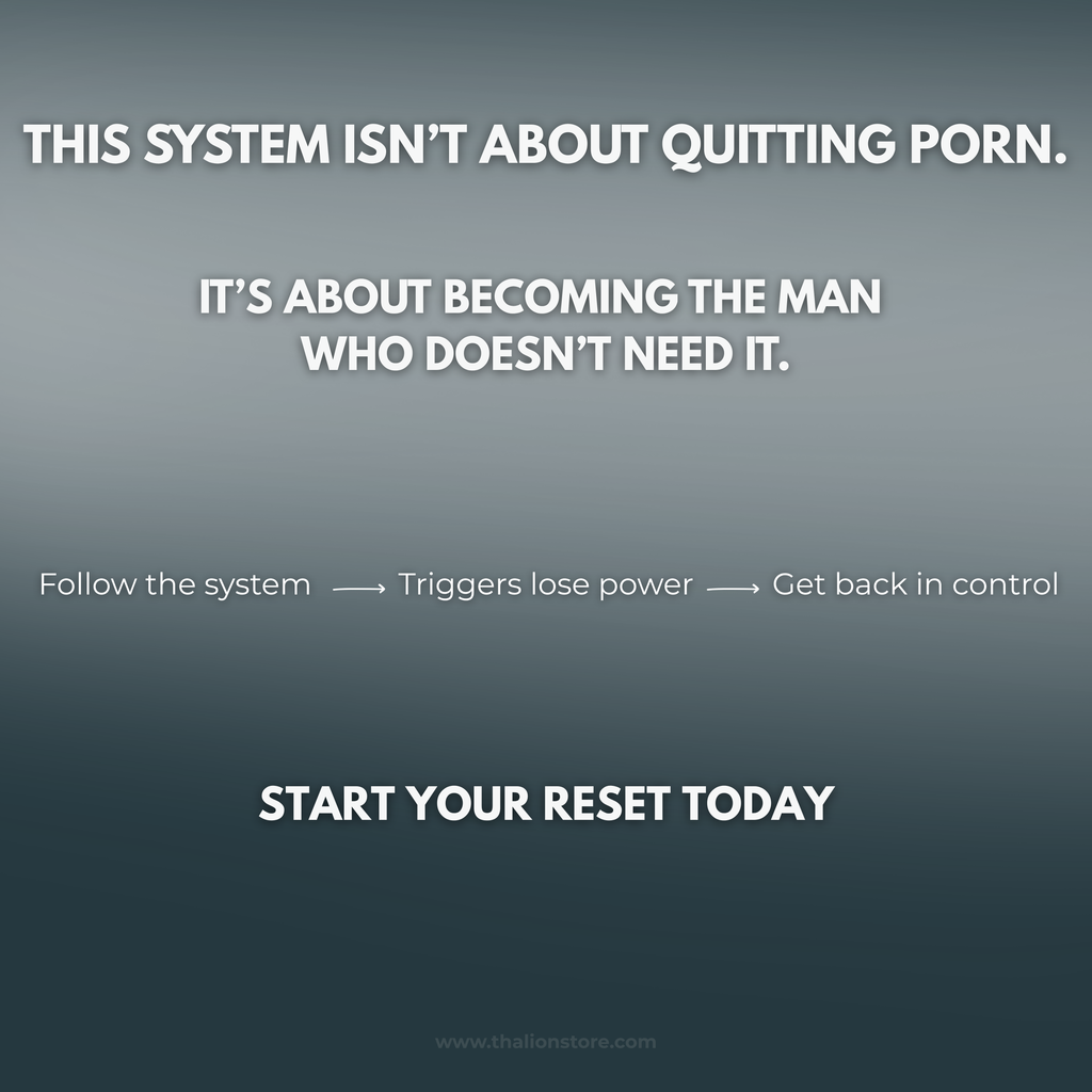 The Reset System